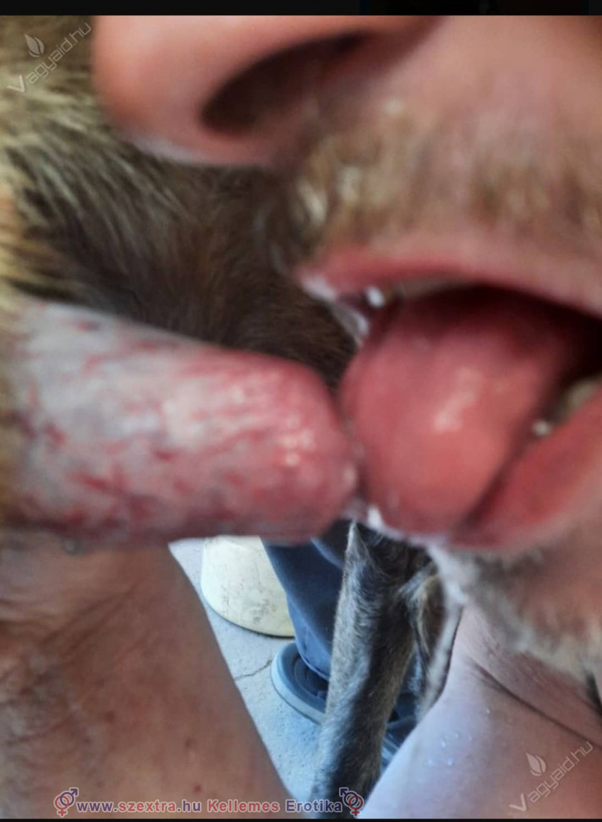 Imádja D Zsolti a kutyafaszt