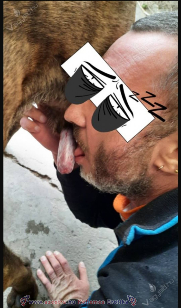 Zsolti és a kutyafasz 2