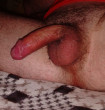 Cock