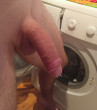 Cock